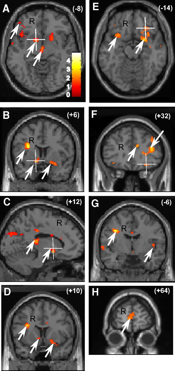79A8FDA5-E8E5-4BA8-911C-29B5131A711A